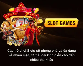 Bình luận viên chuyên nghiệp